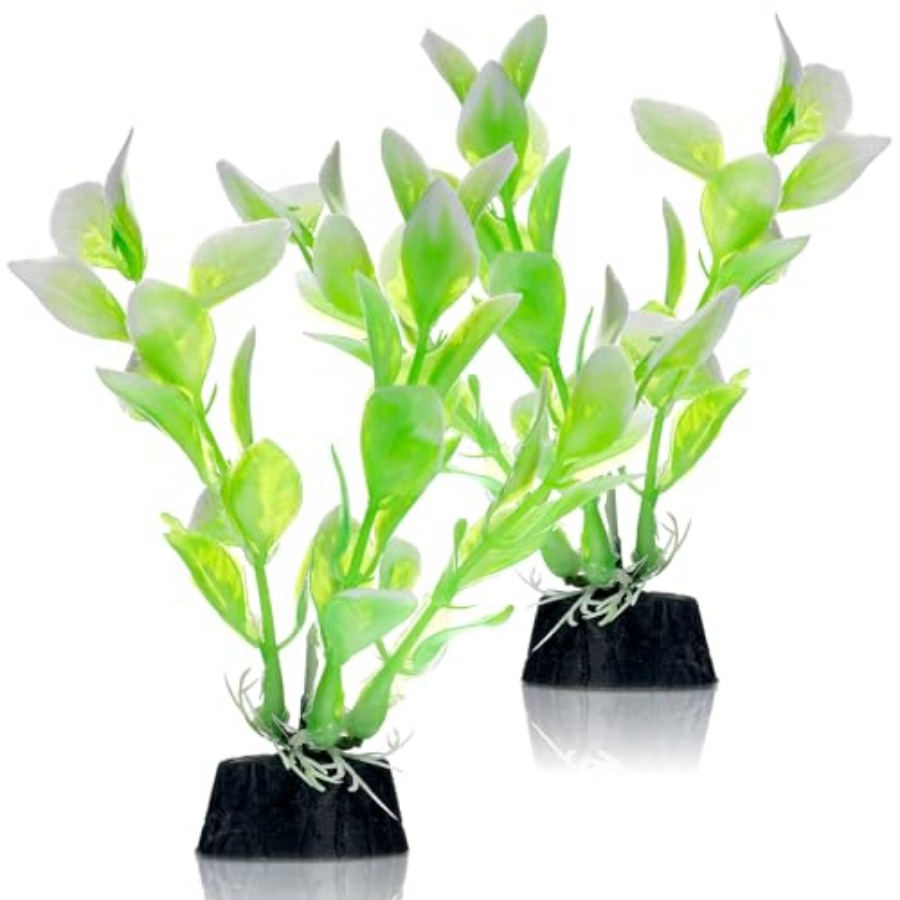 Planted Aquarium For Betta - 2 Pcs 4 Inch Small Aquarium