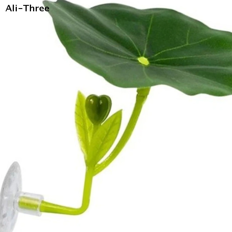 Planted Aquarium For Betta - Green Leaf Hammock For Betta Fish