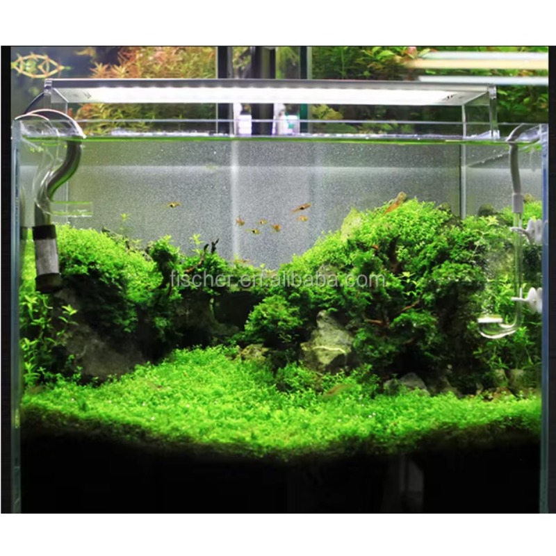 Planted Aquarium Jar - A801 Professional LED Aquarium Light 80cm