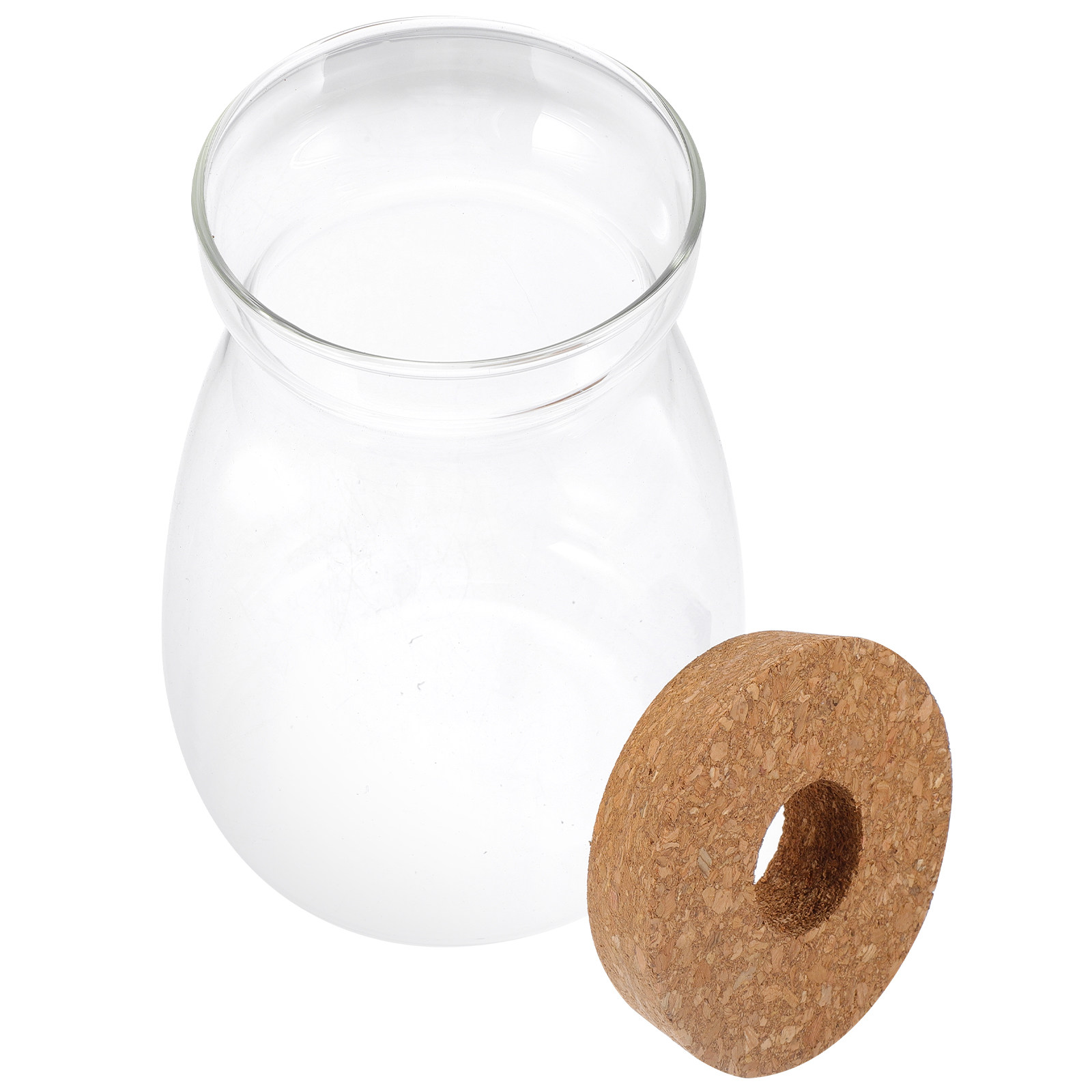 Planted Aquarium Jar - Terrarium Jar Glass Terrarium with Lid