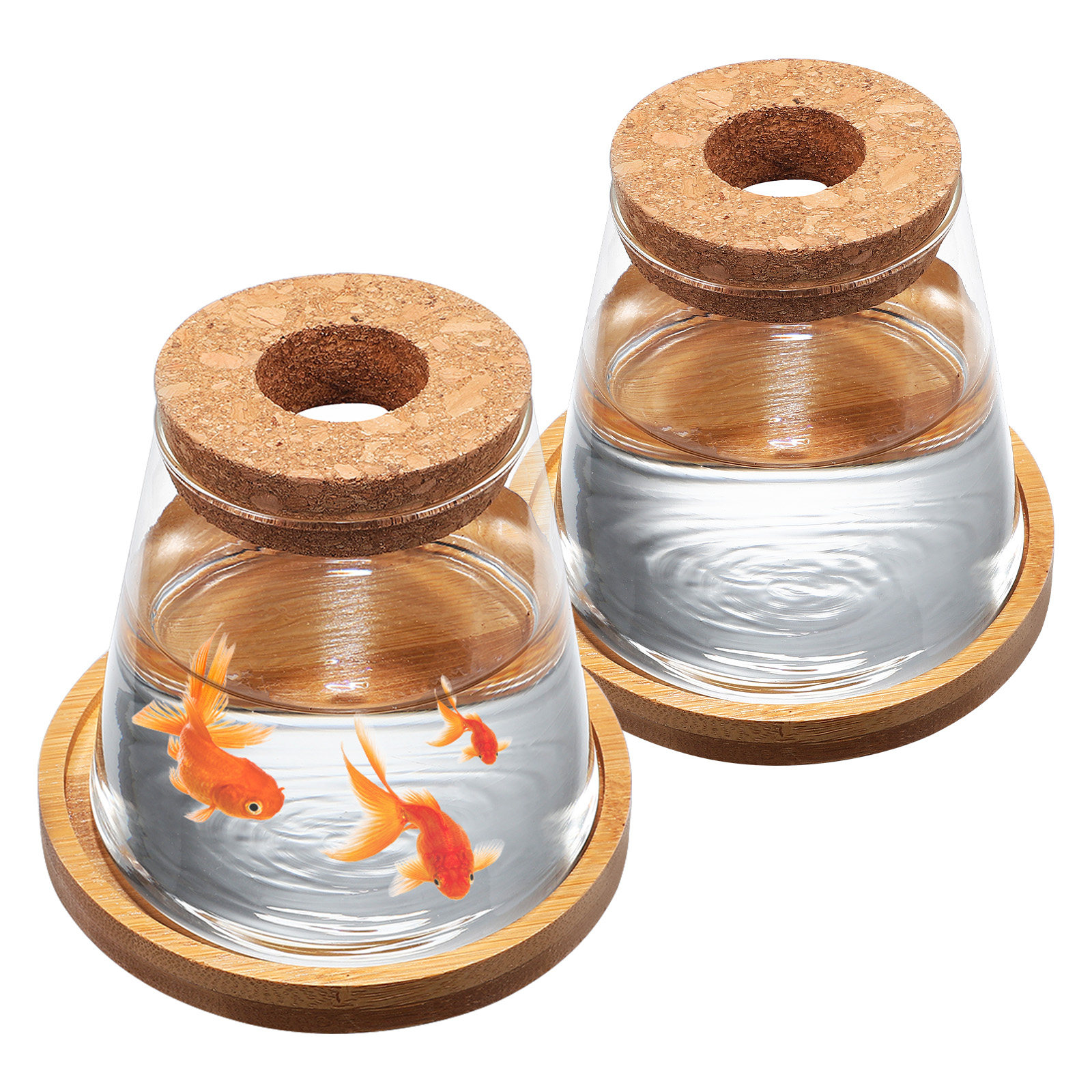 Planted Aquarium Jar - 2Pcs Water Planters Glass Propagation Station