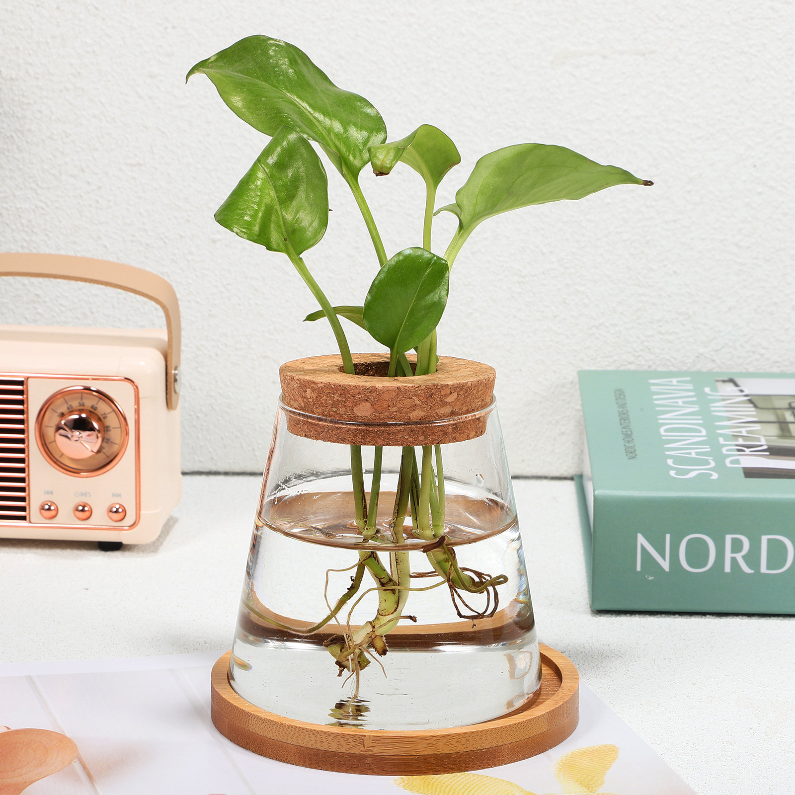 Planted Aquarium Jar - 2Pcs Hydroponic Water Planters Propagated Plants
