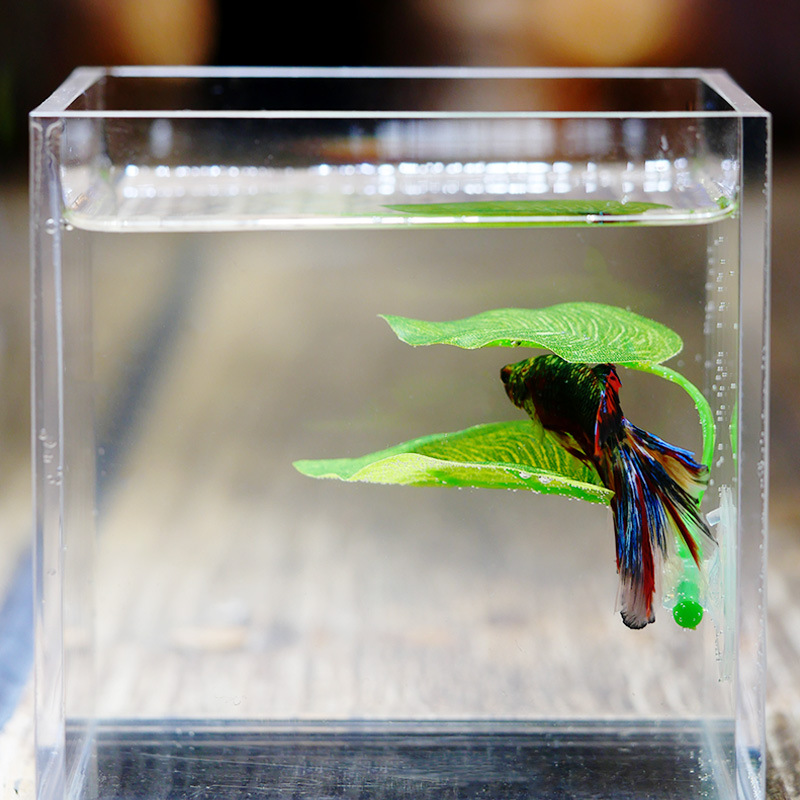 Planted Aquarium For Betta - Artificial Aquarium Leaf Plants Decoration Betta