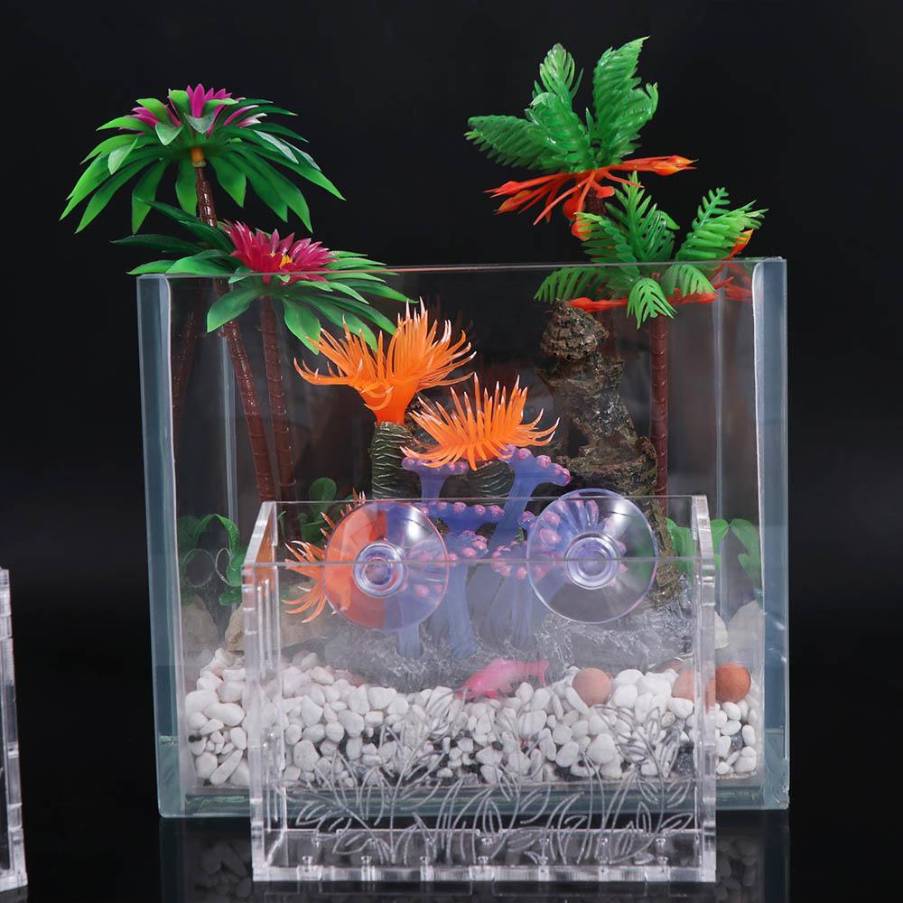 Wall Hanging Aquarium Plants C - đánh giá và giá Aquarium Planted Wall