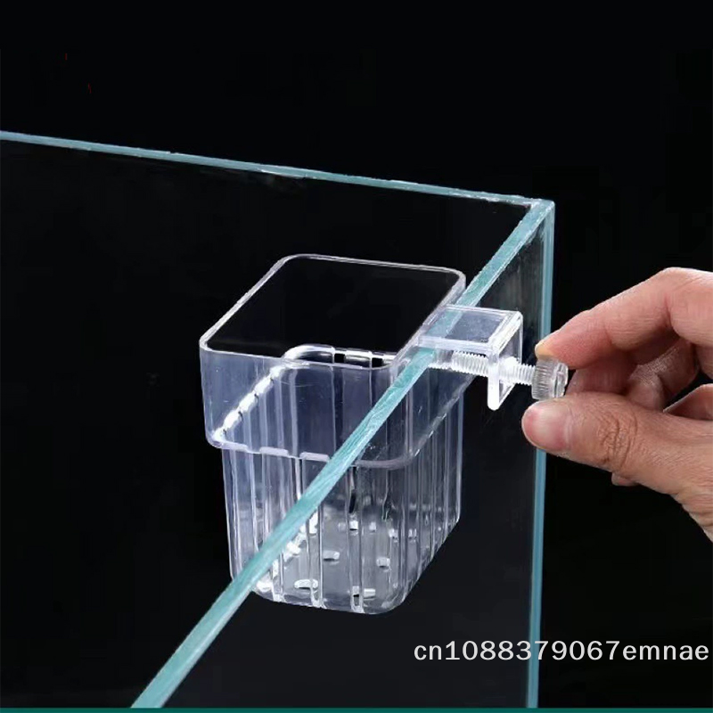 Wall-Mounted Transparent Hydro - đánh giá và giá Aquarium Planted Tank Setup