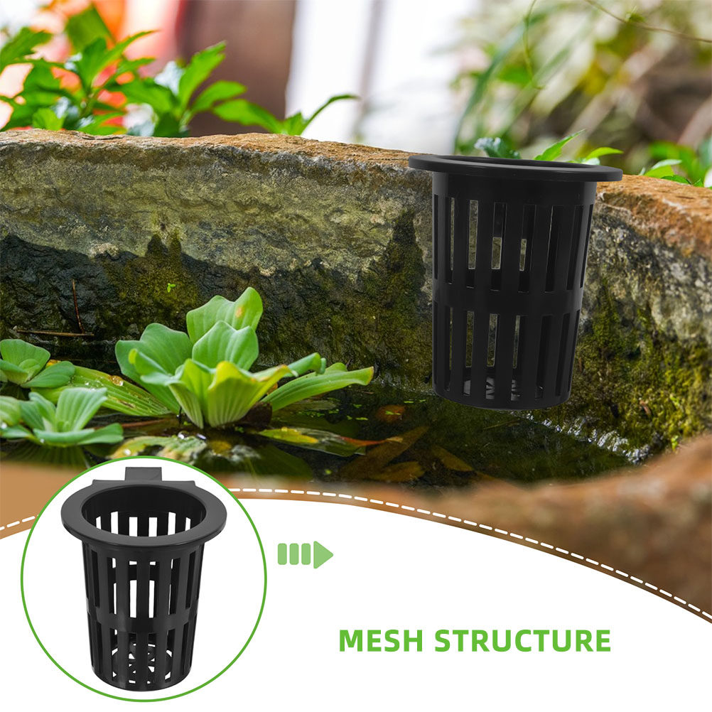 6Pcs Hydroponic Basket Hanging - đánh giá và giá Aquarium Planted Wall