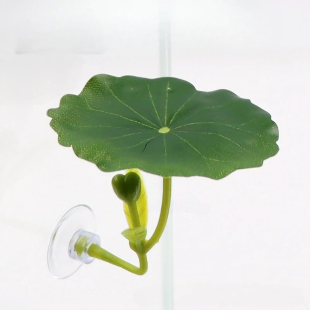 Lotus leaf Betta Fish Hammock  - đánh giá và giá Planted Aquarium For Betta