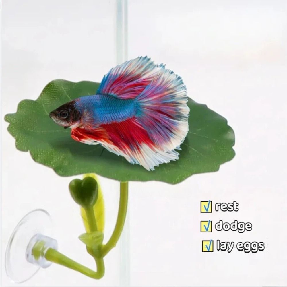 Lotus leaf Betta Fish Hammock  - đánh giá và giá Planted Aquarium For Betta