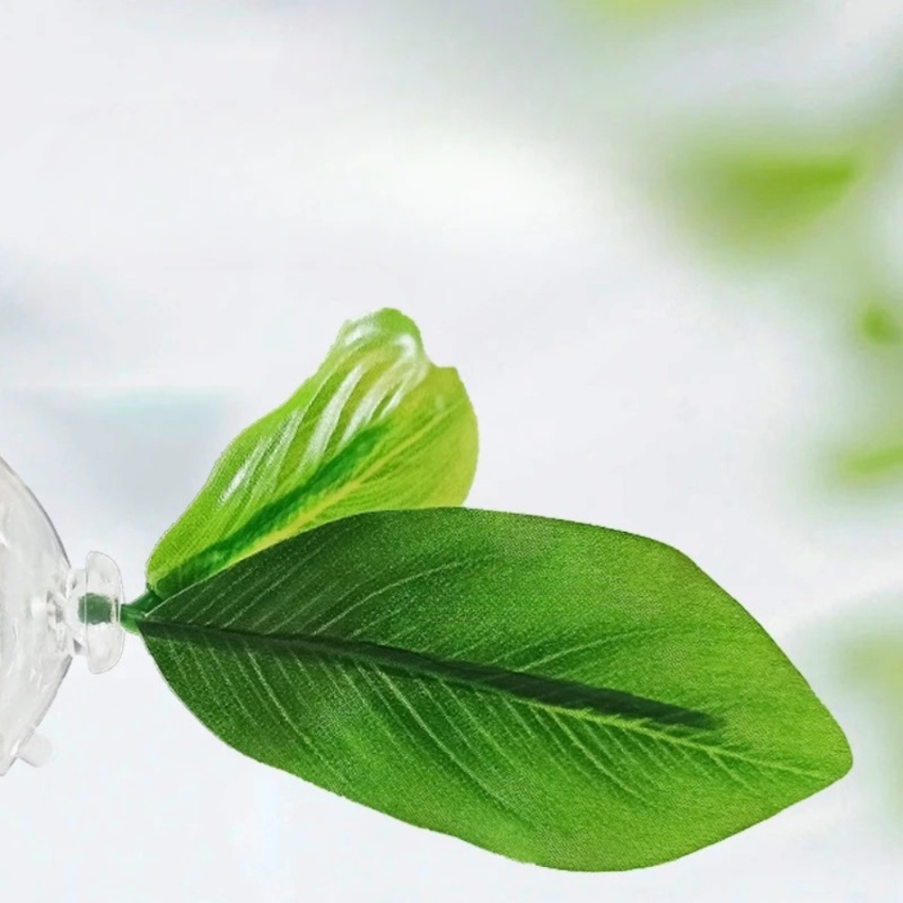 Lotus leaf Betta Fish Hammock  - đánh giá và giá Planted Aquarium For Betta