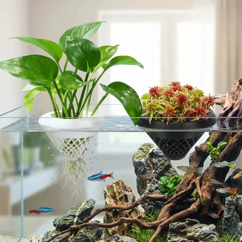 3d Printed Floating Aquarium P - đánh giá và giá Planted Aquarium Jar