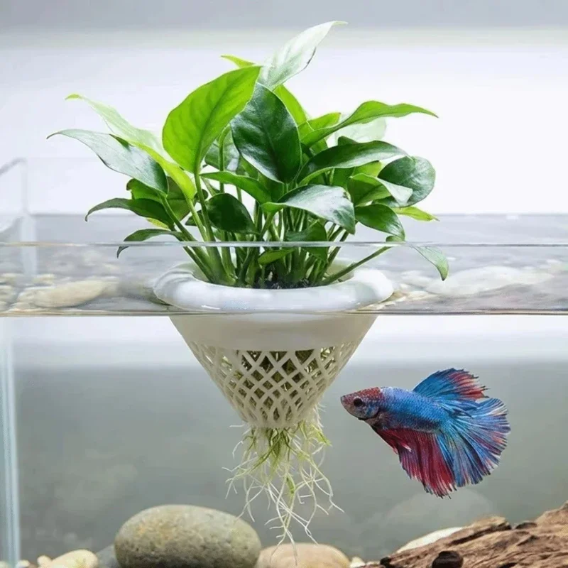 3d Printed Floating Aquarium P - đánh giá và giá Planted Aquarium Jar