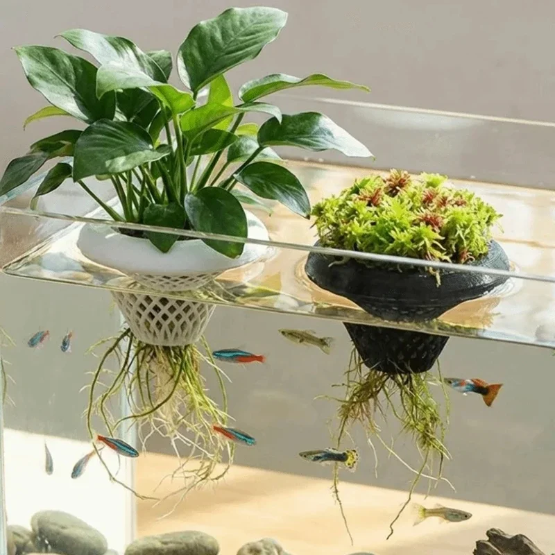 3d Printed Floating Aquarium P - đánh giá và giá Planted Aquarium Jar