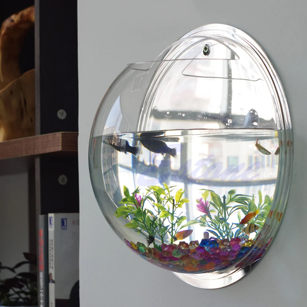 Wall Mounted Acrylic Fish Bowl - đánh giá và giá Aquarium Planted Wall