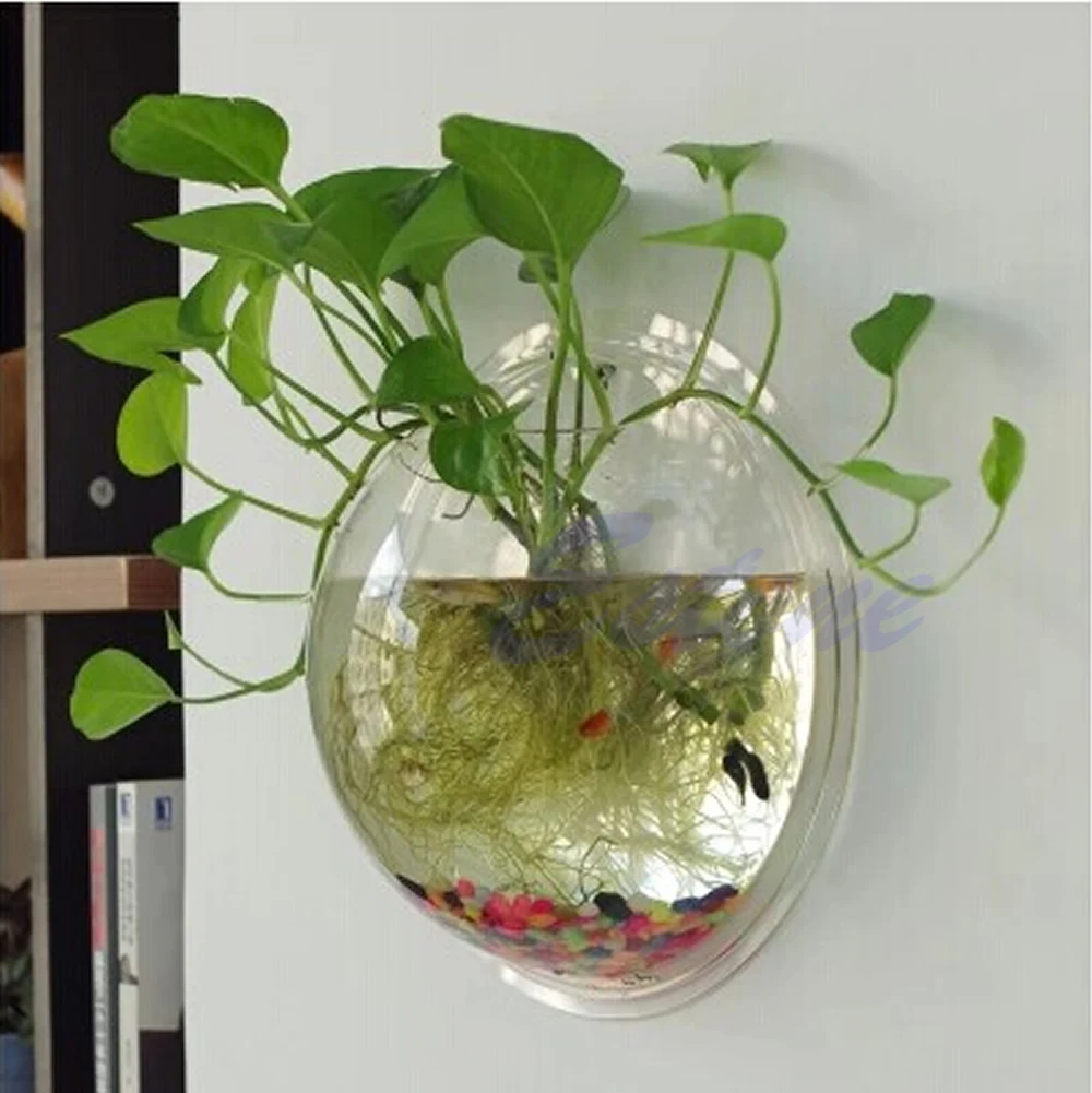 Wall Mounted Acrylic Fish Bowl - đánh giá và giá Aquarium Planted Wall