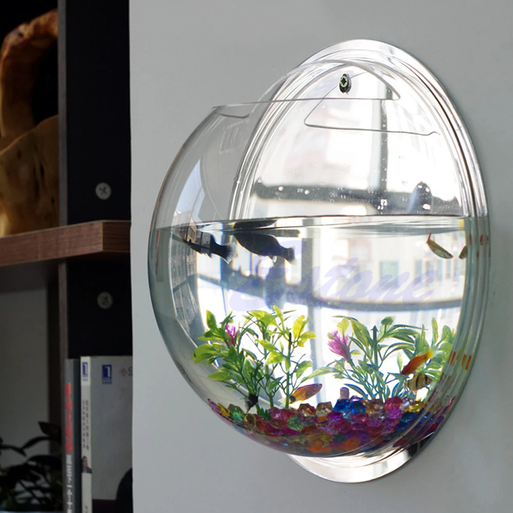 Wall Mounted Acrylic Fish Bowl - đánh giá và giá Aquarium Planted Wall