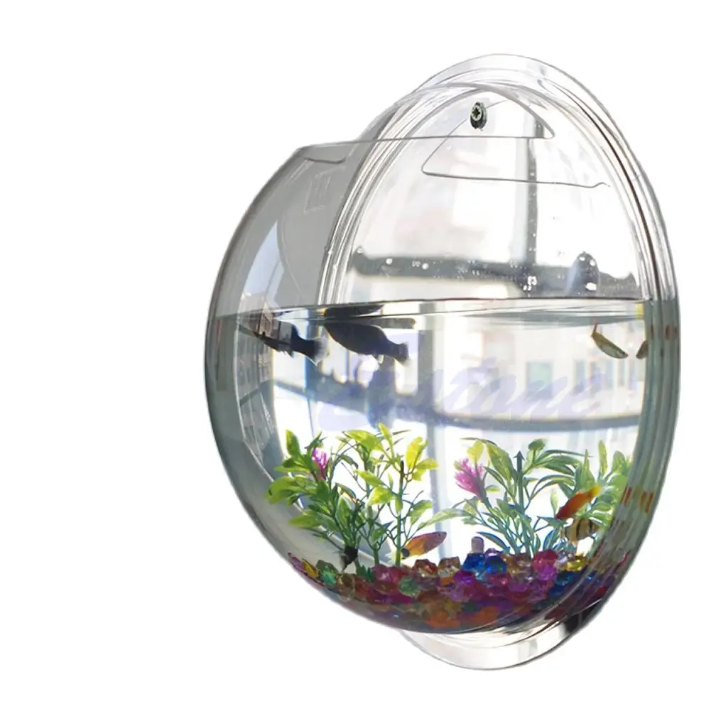 Wall Mounted Acrylic Fish Bowl - đánh giá và giá Aquarium Planted Wall
