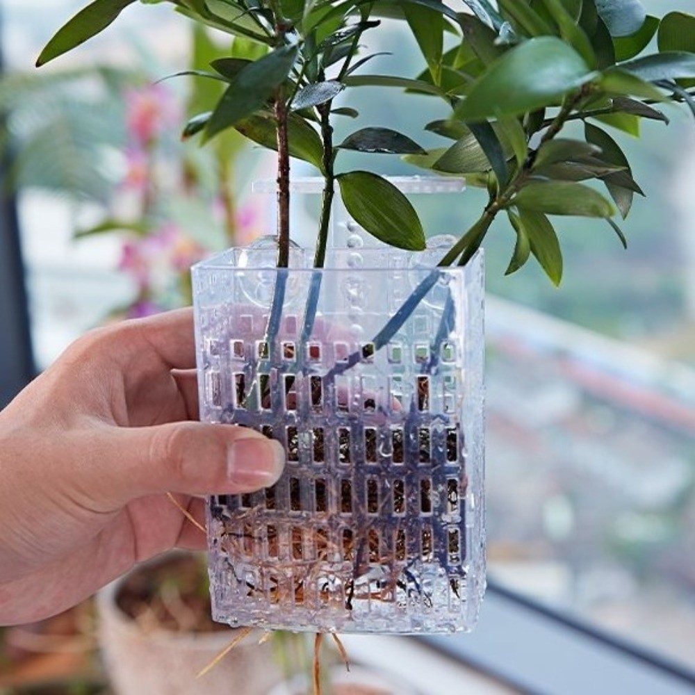 Wall Hanging Aquatic Plant Hol - đánh giá và giá Aquarium Planted Wall