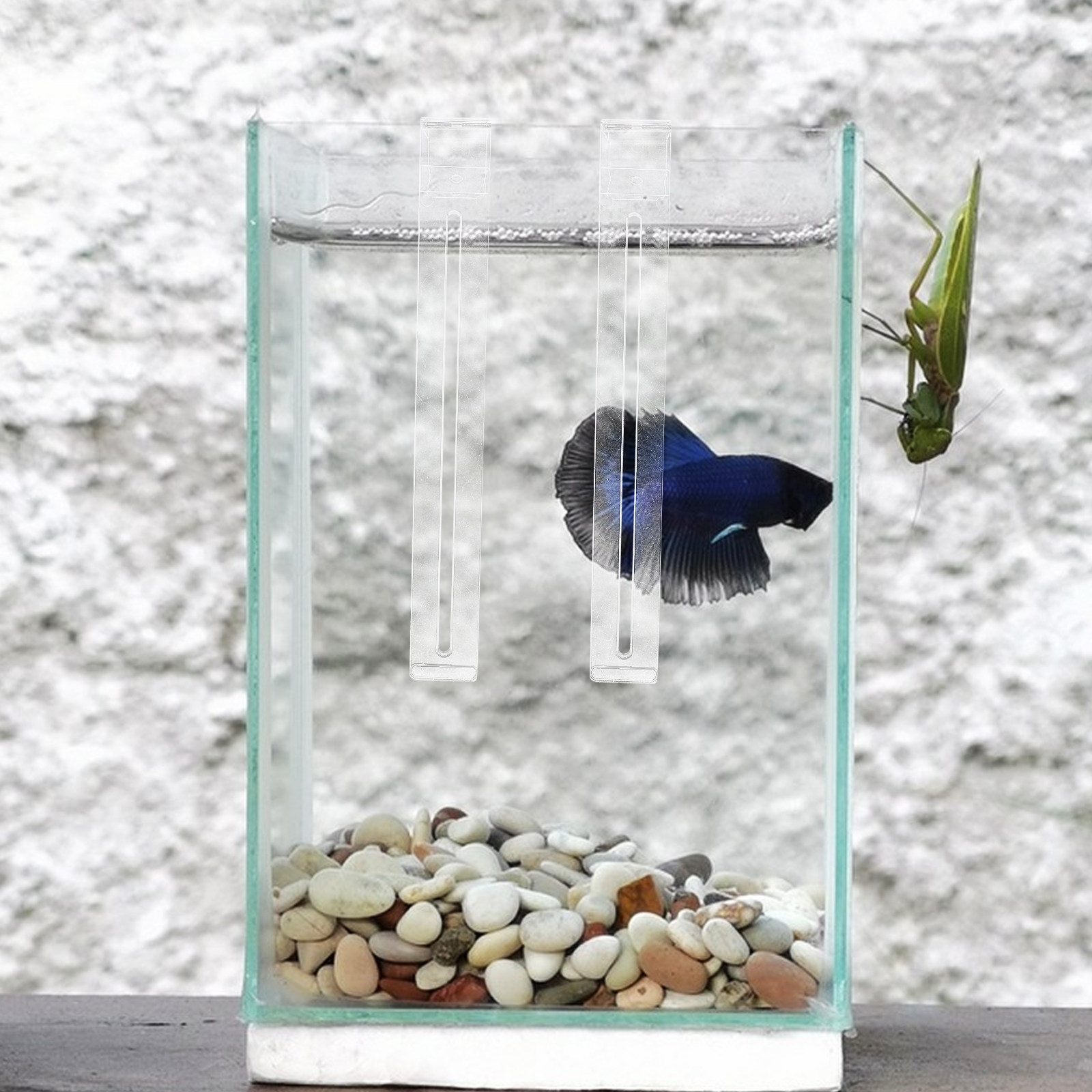 2Pcs Lightweight Sturdy Plasti - đánh giá và giá Aquarium Planted Tank Setup