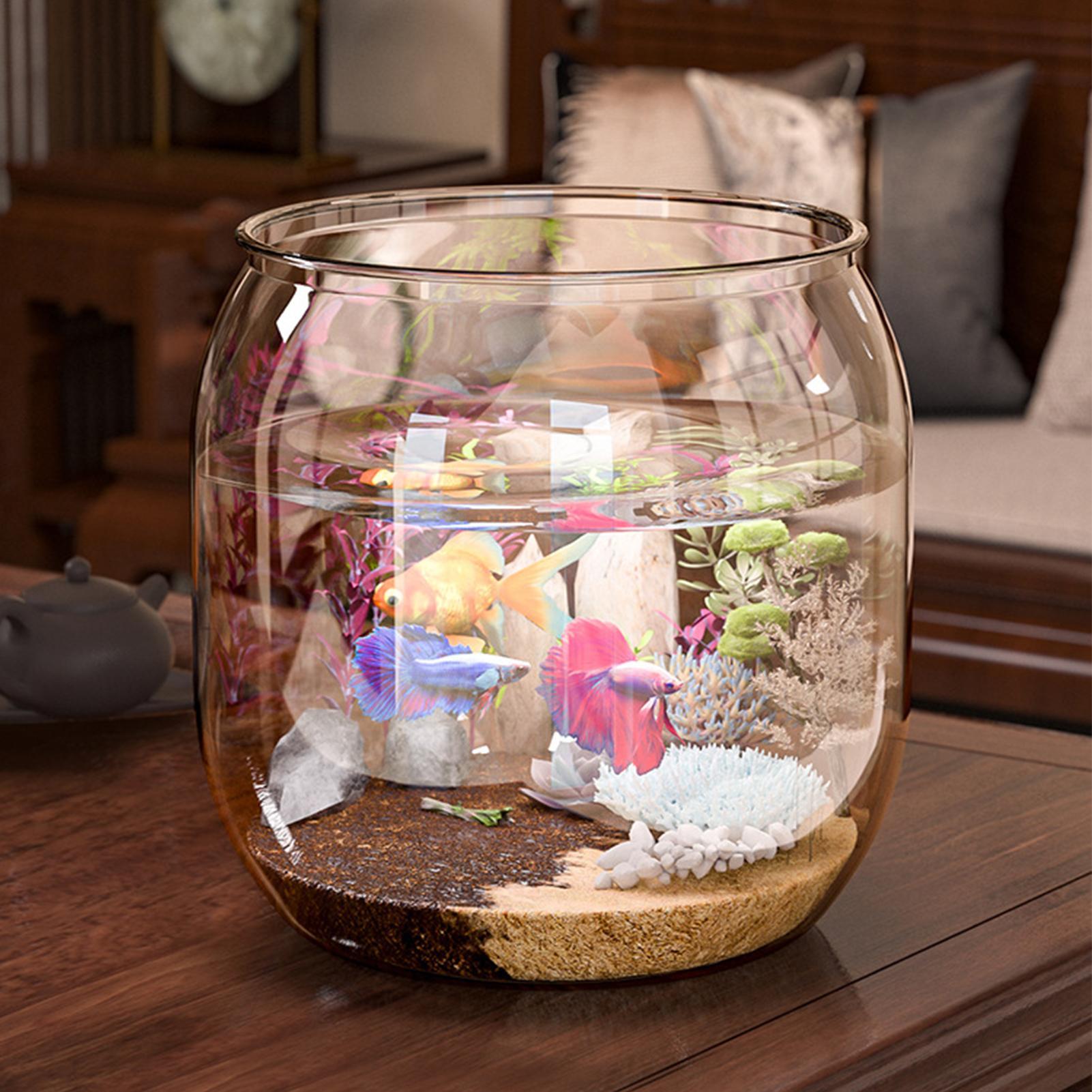 Round Fish Bowl Decorative Cle - đánh giá và giá Planted Aquarium Jar