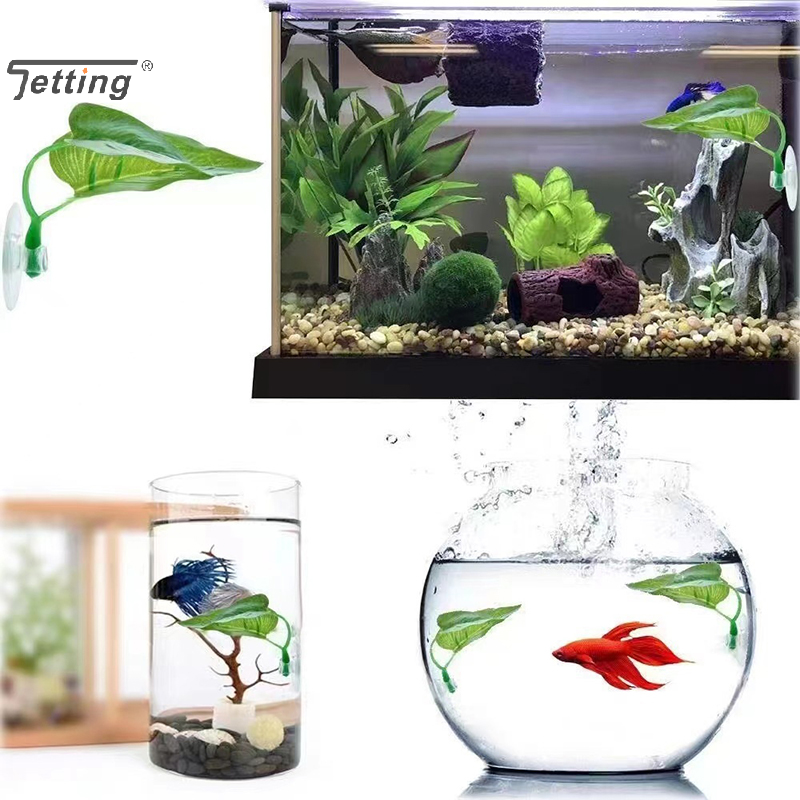 Artificial Aquatic Plant Aquar - đánh giá và giá Planted Aquarium For Betta