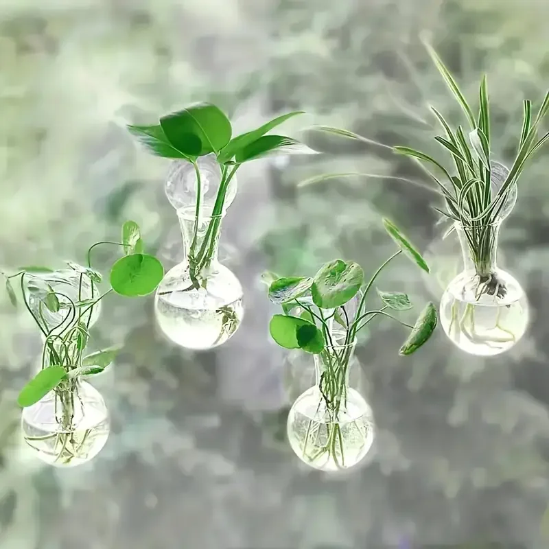 Creative Semi Circular Class W - đánh giá và giá Aquarium Planted Wall