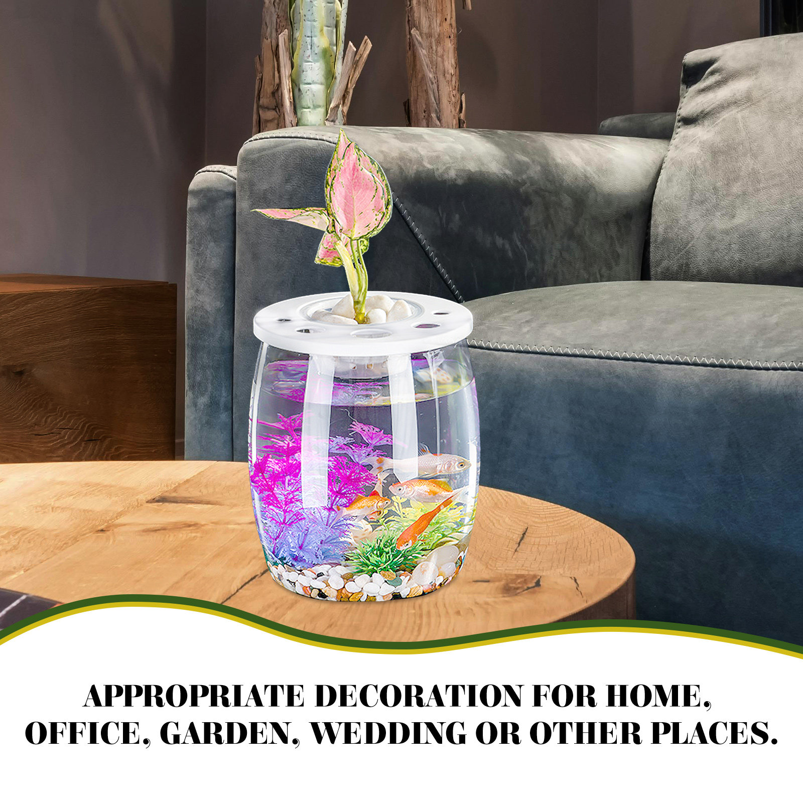 Small Transparent Hydroponic F - đánh giá và giá Aquarium Planted Tank Setup
