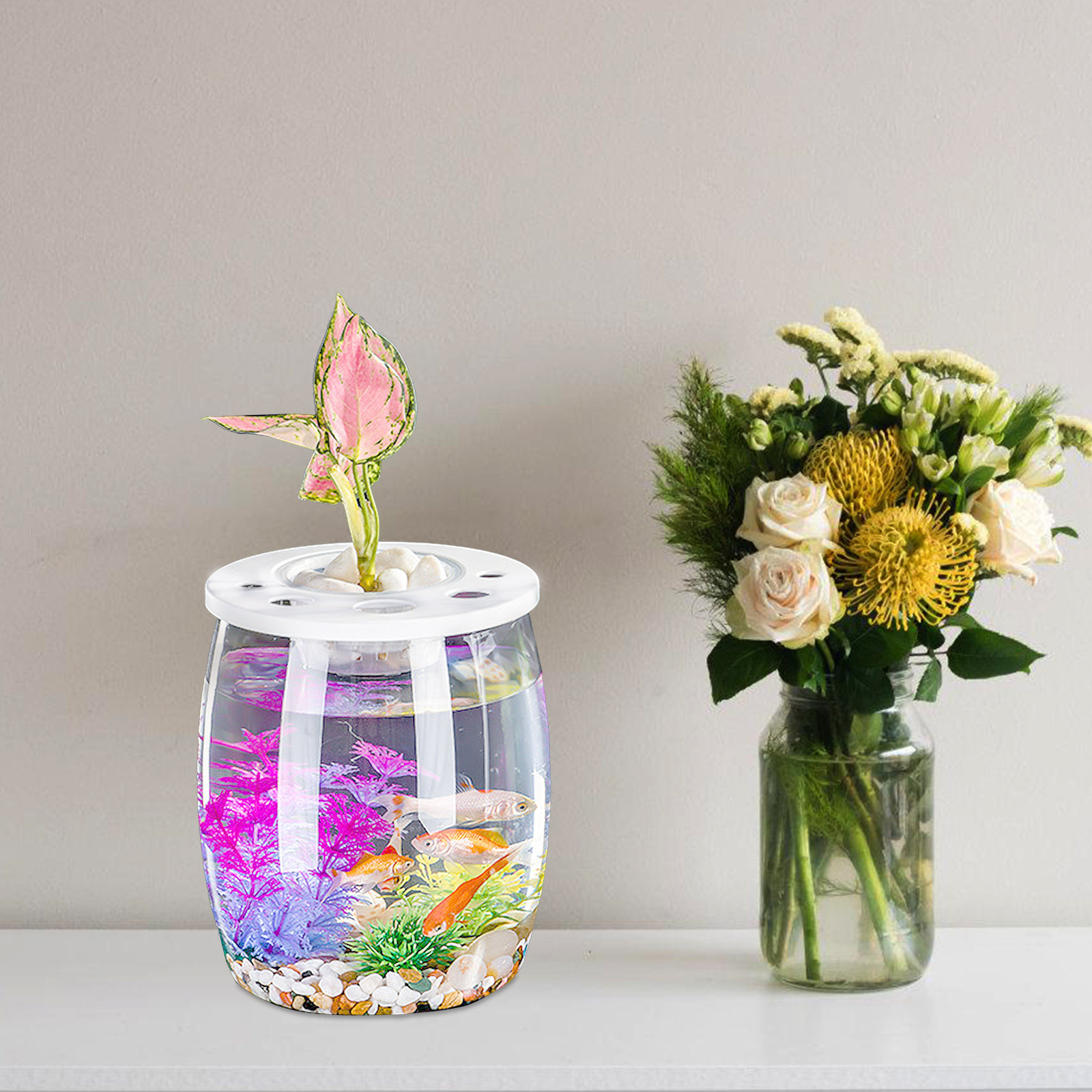 Small Transparent Hydroponic F - đánh giá và giá Aquarium Planted Tank Setup