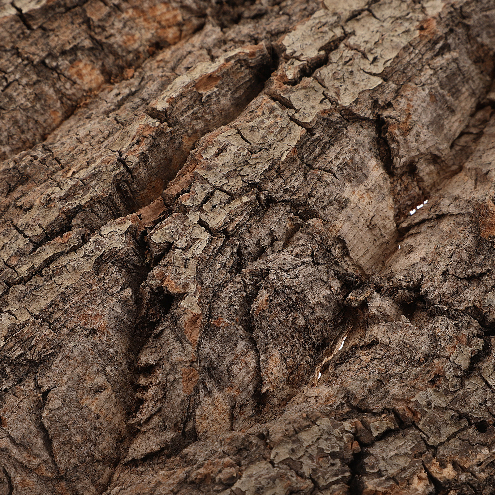 Natural Cork Bark Background B - đánh giá và giá Aquarium Planted Wall