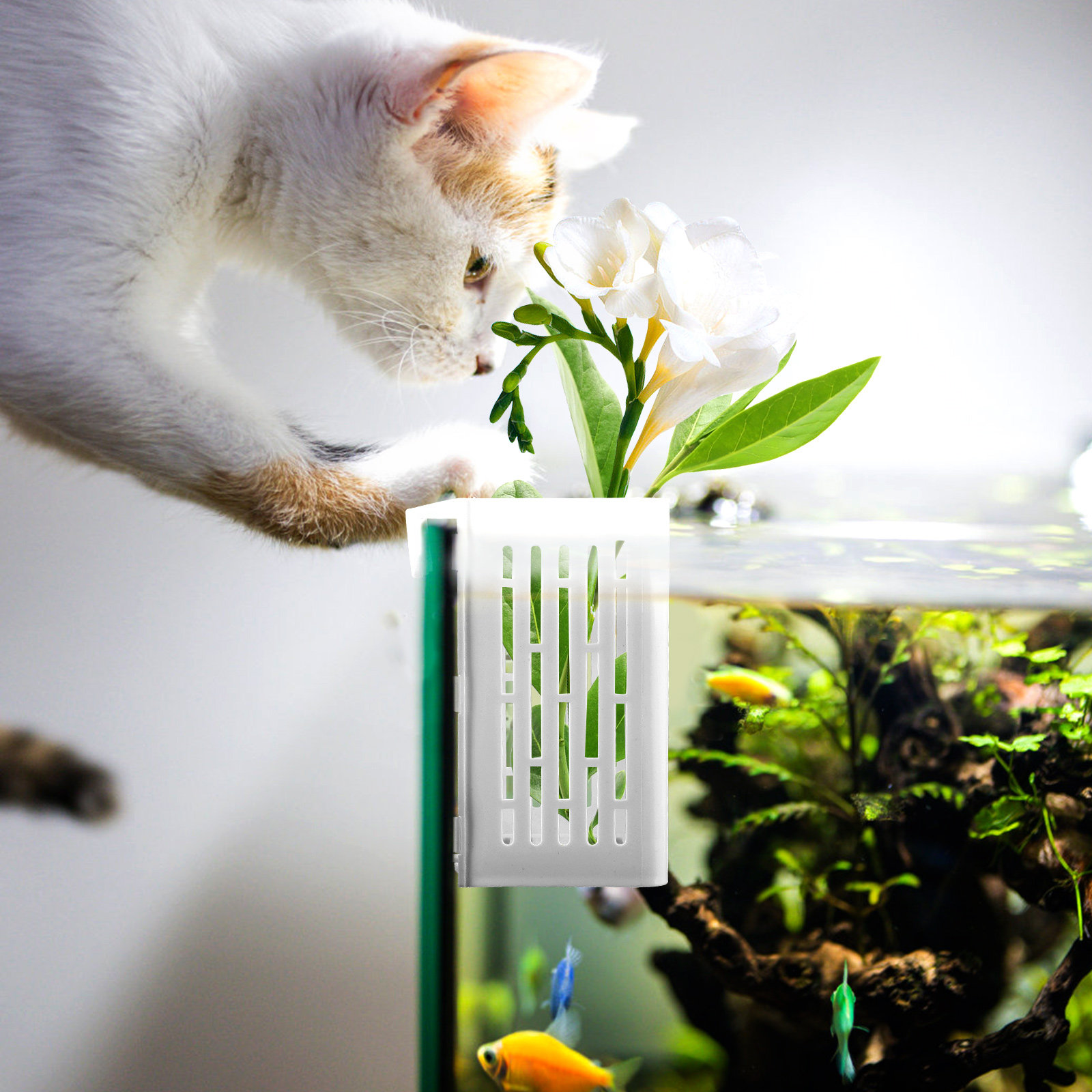 2Pcs Aquatic Plant Holder Hang - đánh giá và giá Aquarium Planted Tank Setup