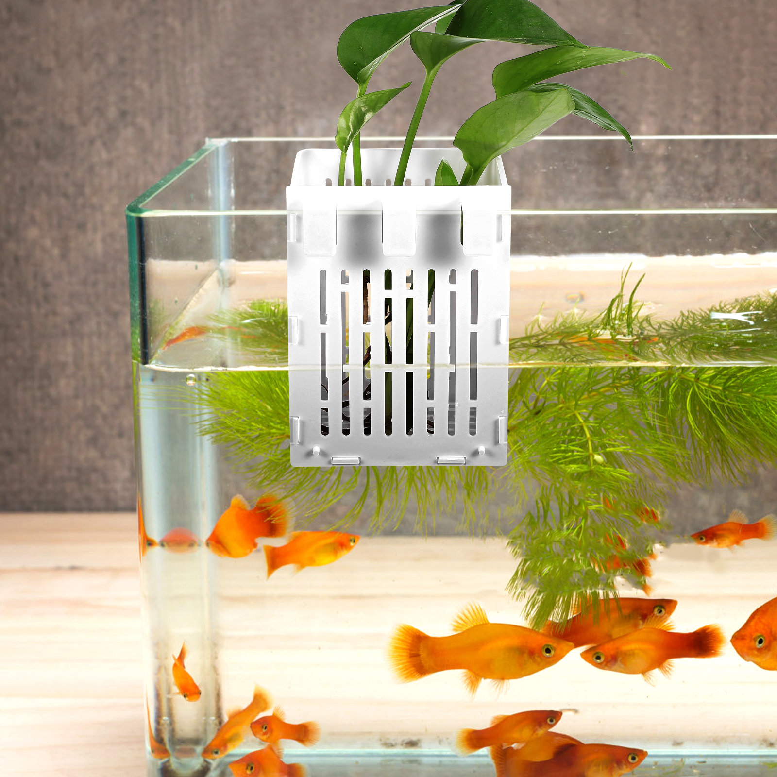 2Pcs Aquatic Plant Holder Hang - đánh giá và giá Aquarium Planted Tank Setup