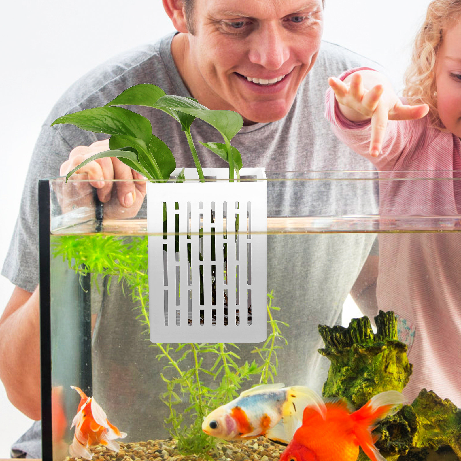 2Pcs Aquatic Plant Holder Hang - đánh giá và giá Aquarium Planted Tank Setup