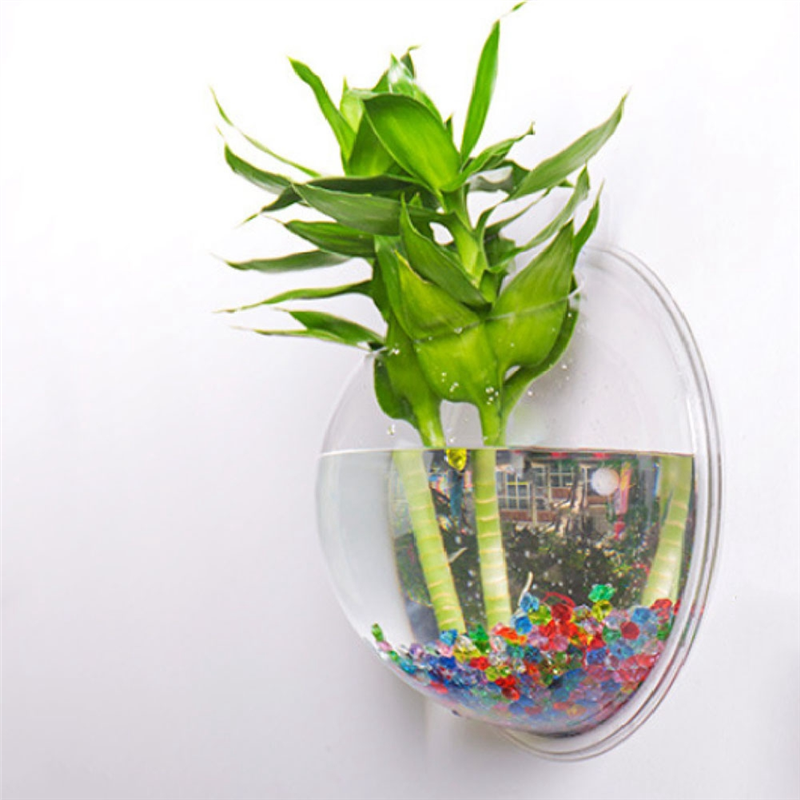 A26F-Transparent Plant Pot Wal - đánh giá và giá Aquarium Planted Wall