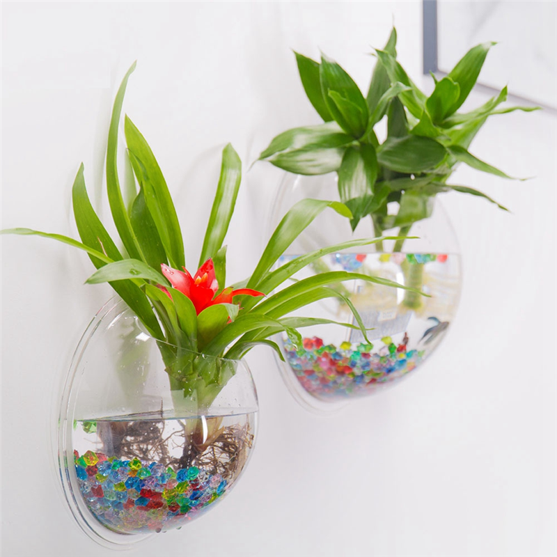 A26F-Transparent Plant Pot Wal - đánh giá và giá Aquarium Planted Wall