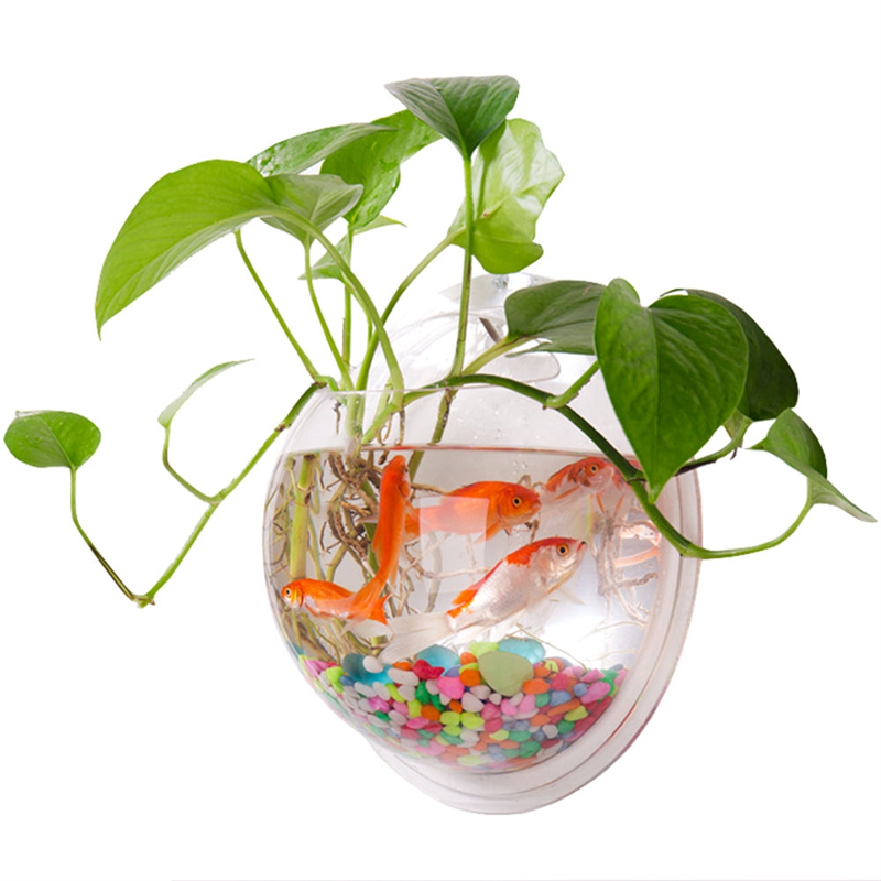 A26F-Transparent Plant Pot Wal - đánh giá và giá Aquarium Planted Wall