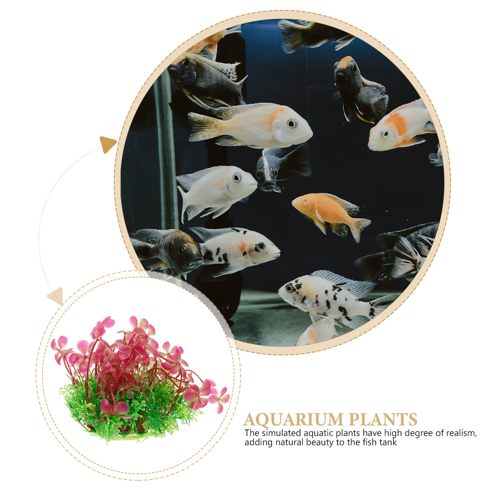 4 Leaf Clover Aquarium Decorat - đánh giá và giá Aquarium Planted Tank Setup
