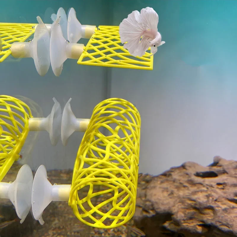Plastic Fish Tank Aquarium Art - đánh giá và giá Planted Aquarium For Betta