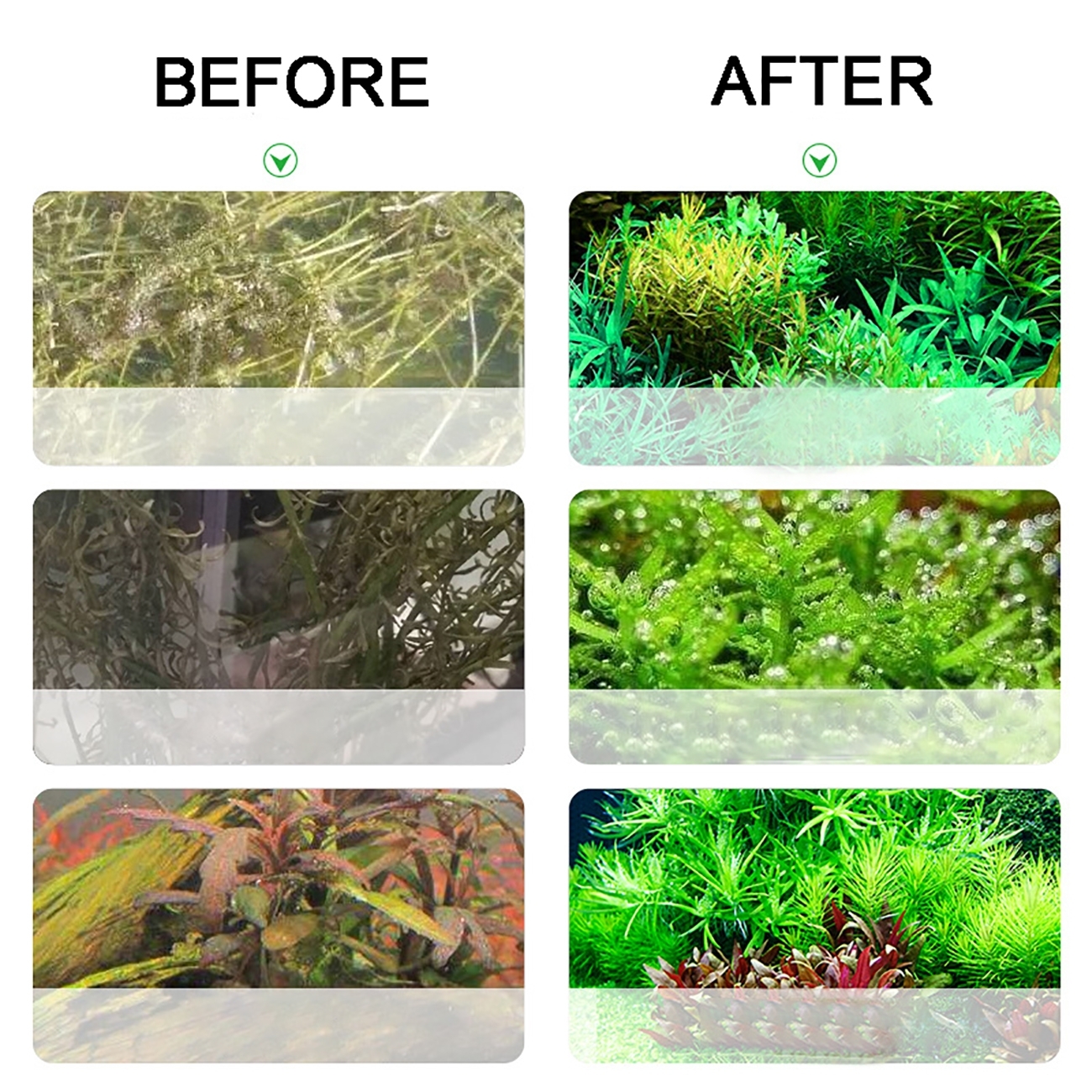 Aquarium CO2 Generator system  - đánh giá và giá Planted Aquarium Co2 System