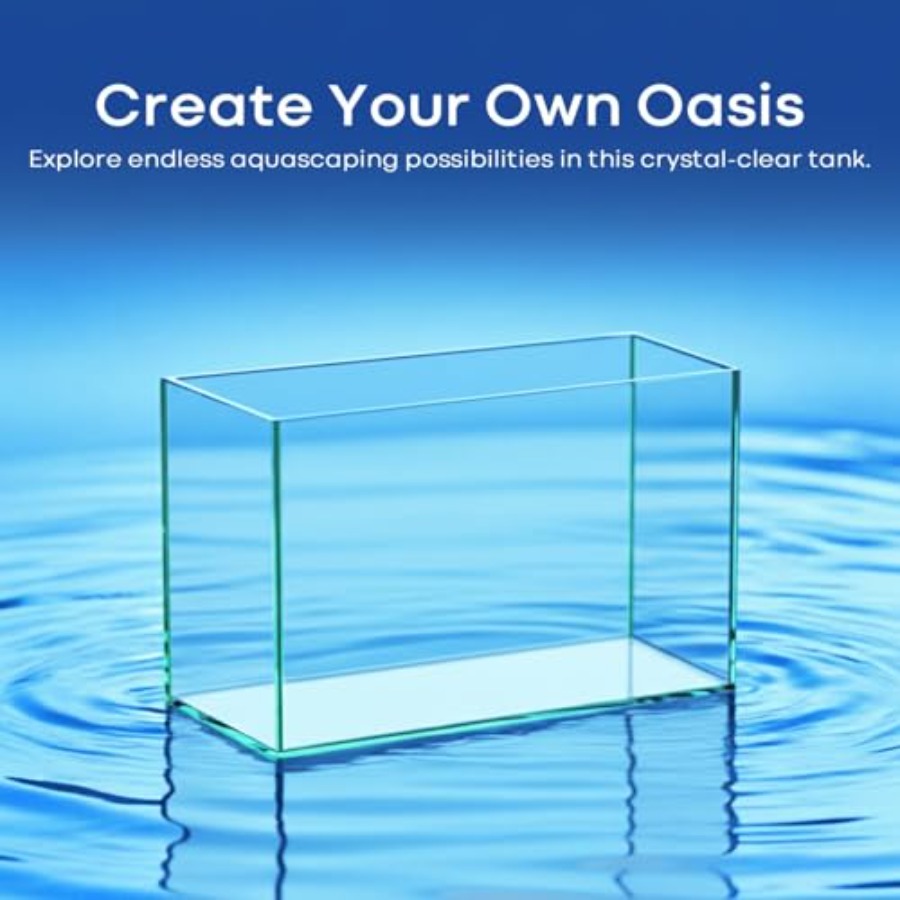 Glass Fish Tank Open-Back Lid  - đánh giá và giá Planted Aquarium For Betta
