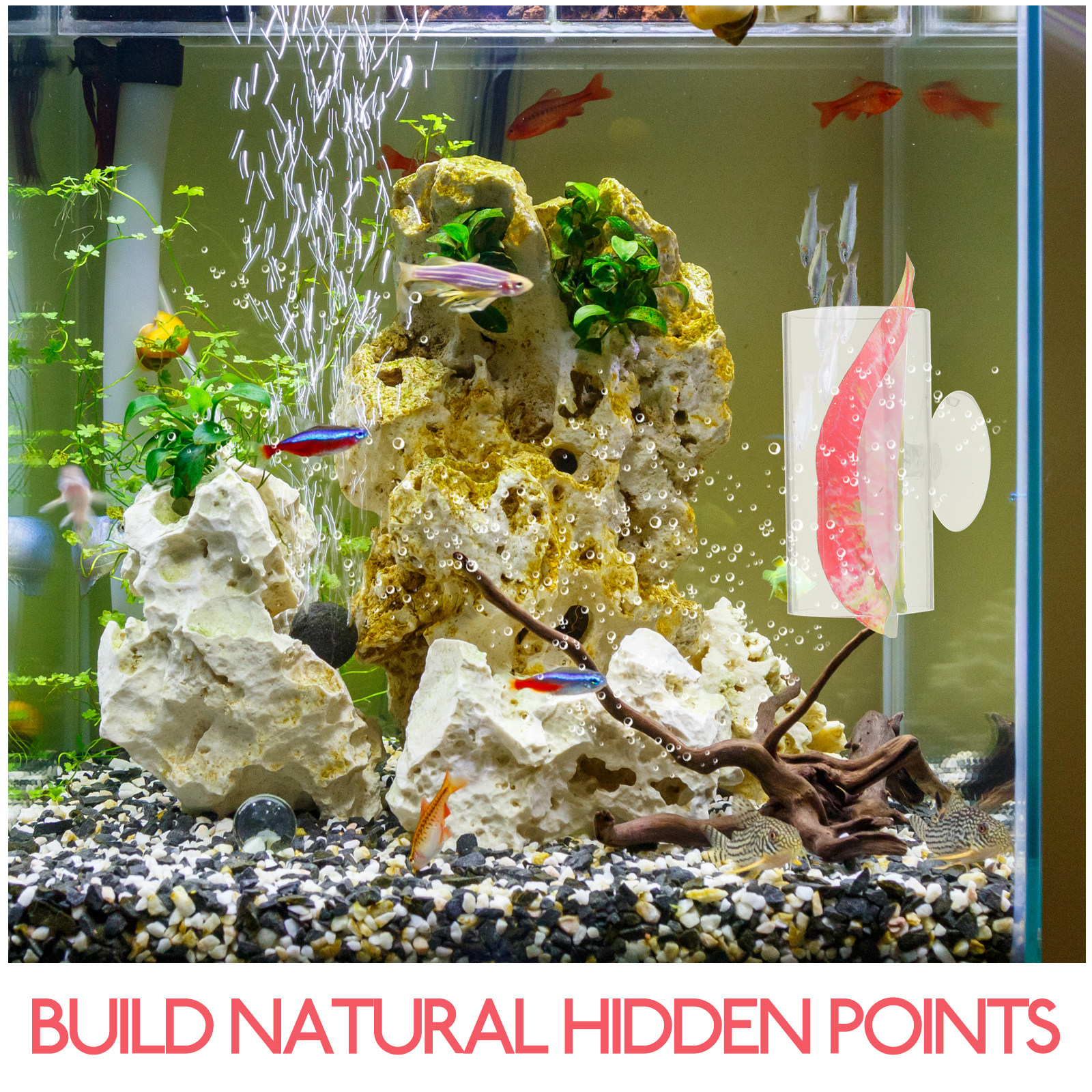Betta Hide Cave Acrylic Aquari - đánh giá và giá Planted Aquarium For Betta