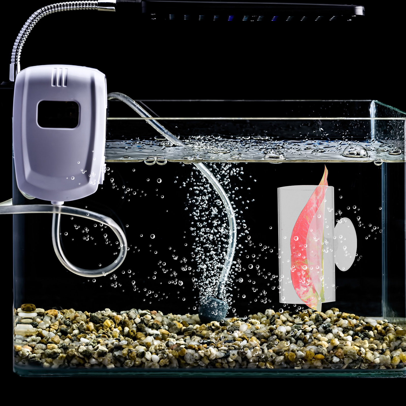 Betta Hide Cave Acrylic Aquari - đánh giá và giá Planted Aquarium For Betta