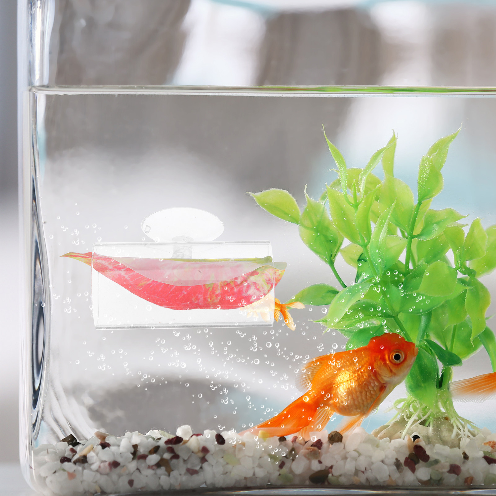 Betta Hide Cave Acrylic Aquari - đánh giá và giá Planted Aquarium For Betta