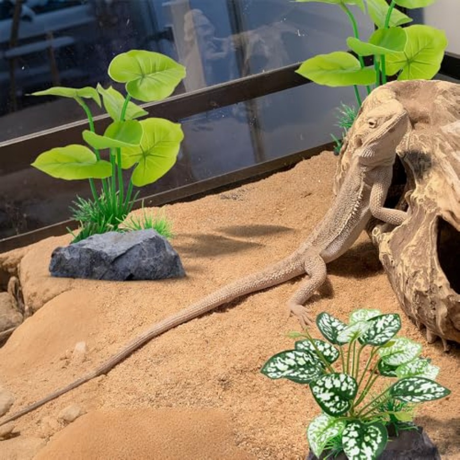 3-Pack Articial Aquarium Plant - đánh giá và giá Planted Aquarium For Betta