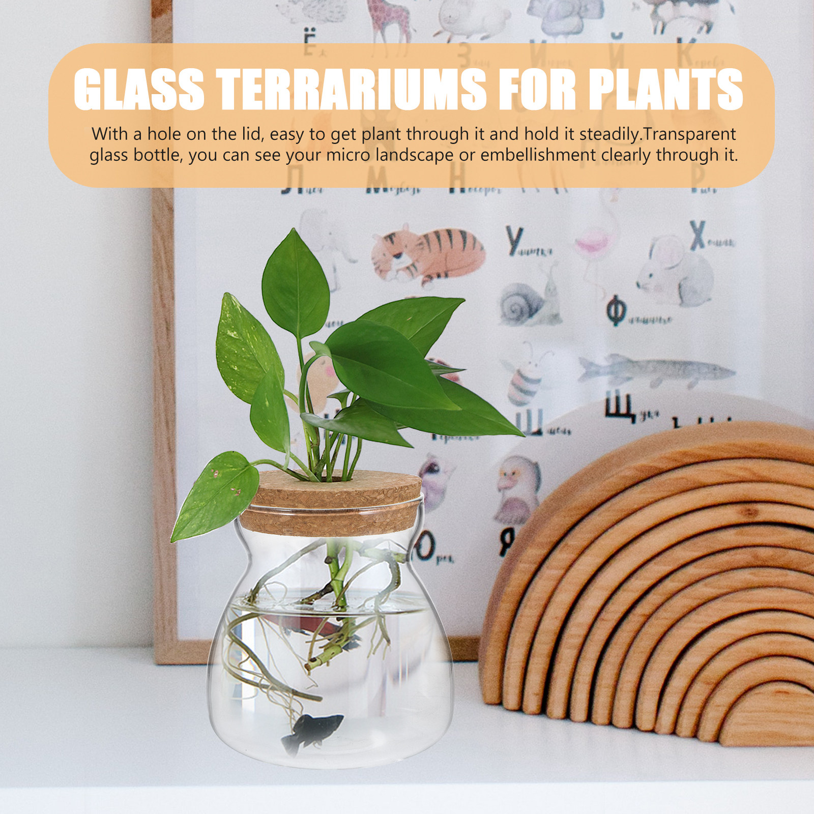 Terrarium Glass Jar Transparen - đánh giá và giá Planted Aquarium Jar