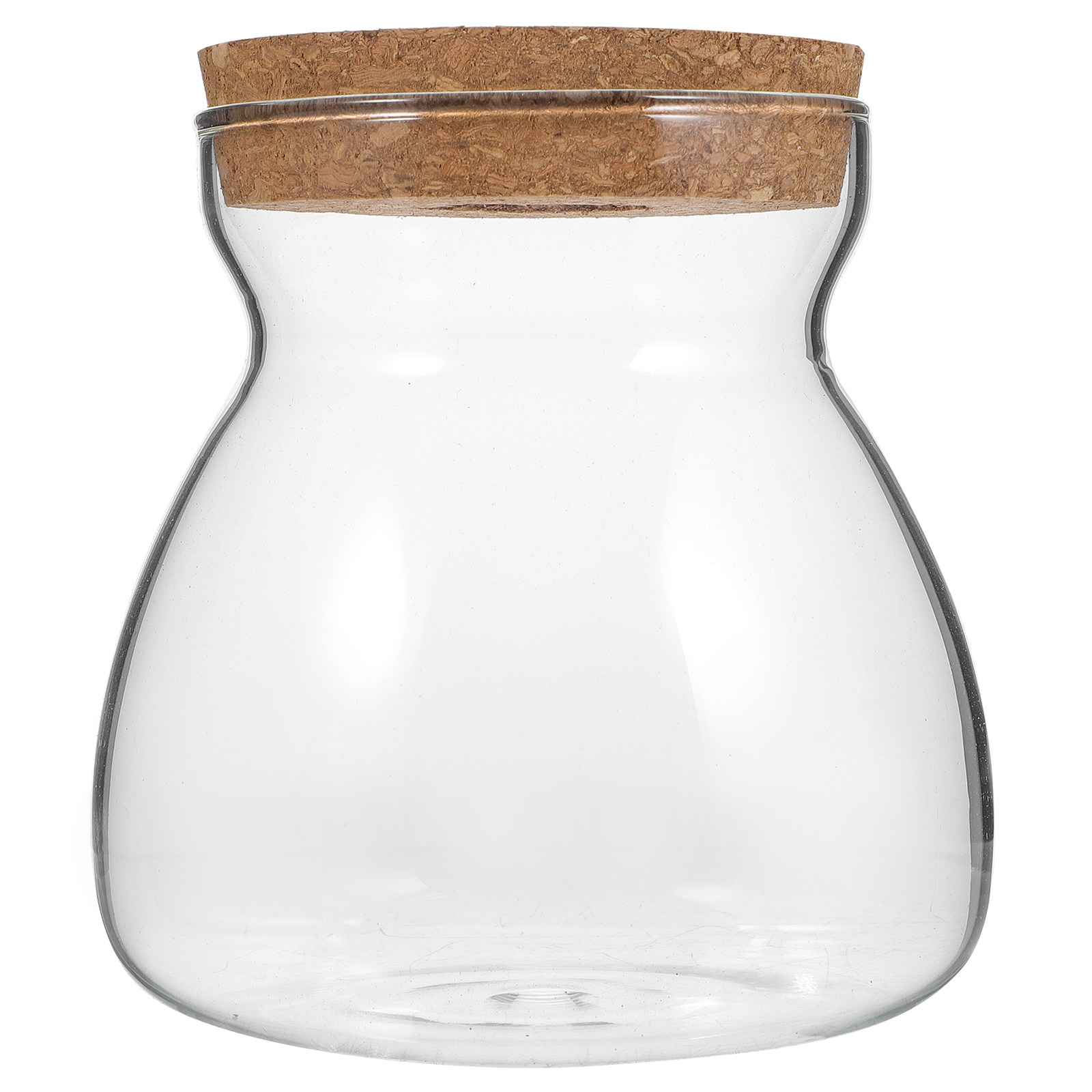 Terrarium Glass Jar Transparen - đánh giá và giá Planted Aquarium Jar