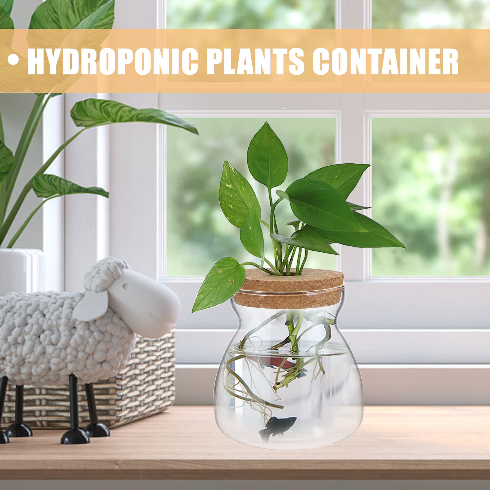 Terrarium Glass Jar Transparen - đánh giá và giá Planted Aquarium Jar