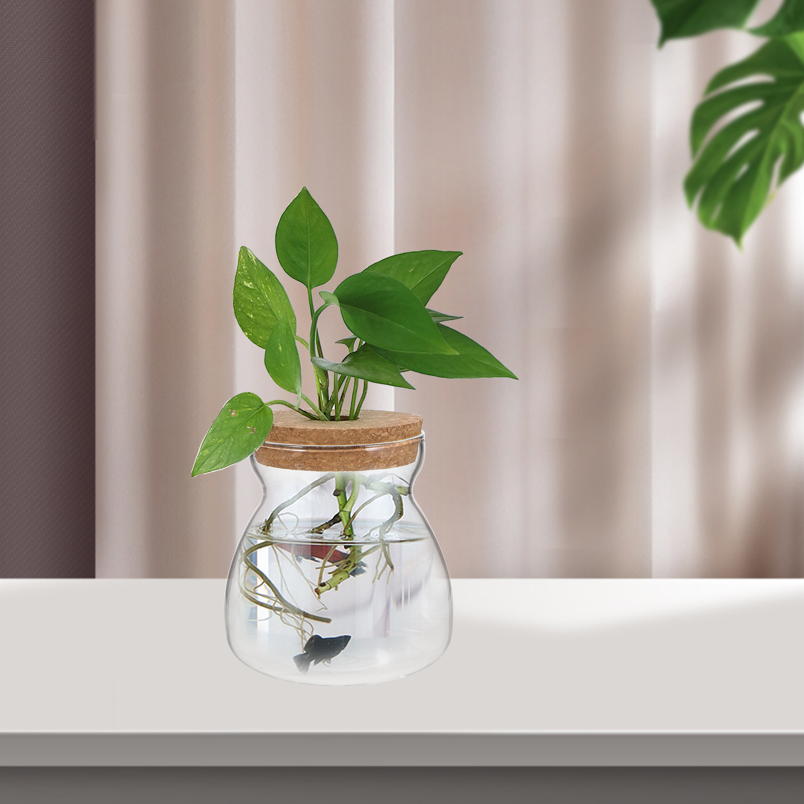 Terrarium Glass Jar Transparen - đánh giá và giá Planted Aquarium Jar