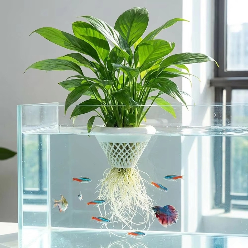 Floating Aquarium Plant Pot, 3 - đánh giá và giá Planted Aquarium Jar