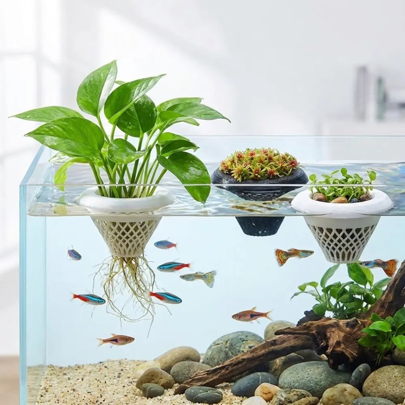 Floating Aquarium Plant Pot, 3 - đánh giá và giá Planted Aquarium Jar