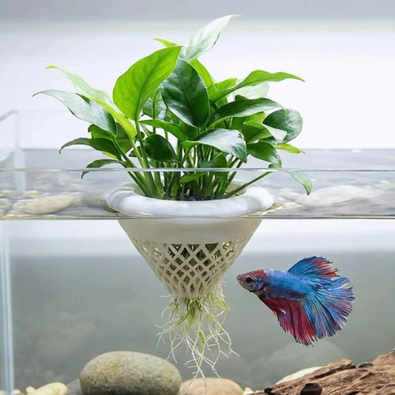 Floating Aquarium Plant Pot, 3 - đánh giá và giá Planted Aquarium Jar