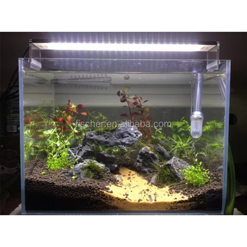 A801 Professional LED Aquarium - đánh giá và giá Planted Aquarium Jar